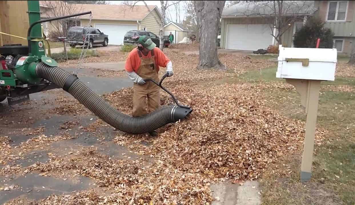 Seasonal Cleanups image