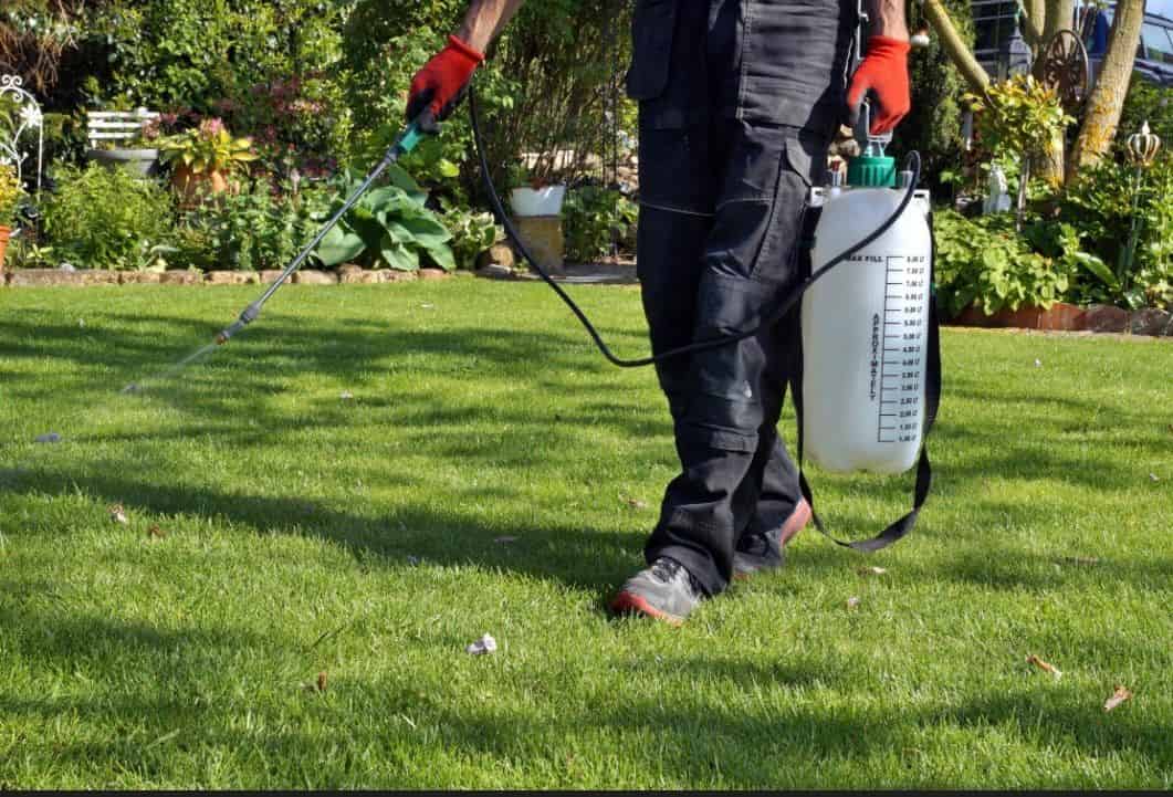 Fertilization & Weed Control image