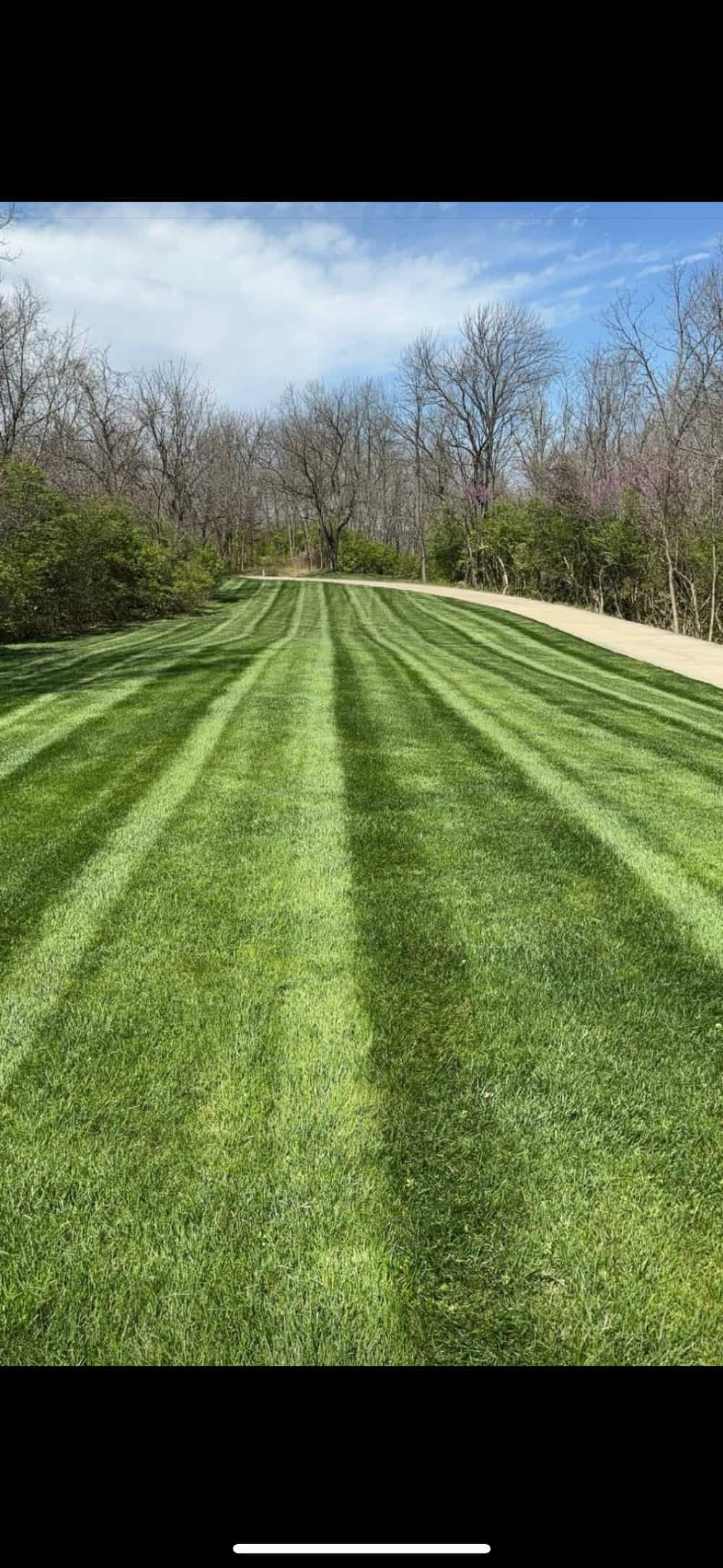 Hero image for Dino Pacheco Lawn & Garden Service