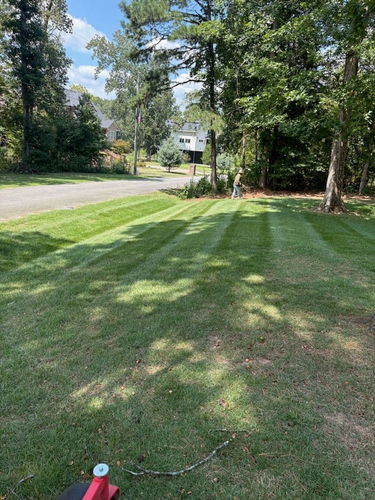 Project Transformative Lawn Care with Dino's Expertise image