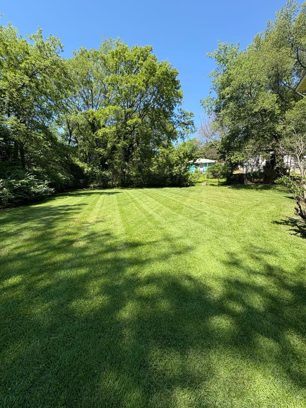 Lush green lawn with neatly striped grass under bright blue sky and trees in the background.
