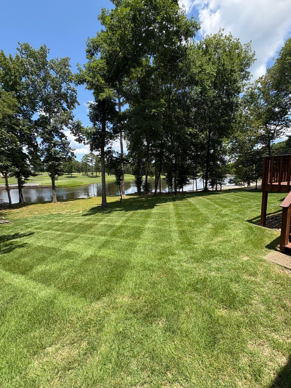 Lush green lawn with tree line and tranquil pond under bright blue sky.